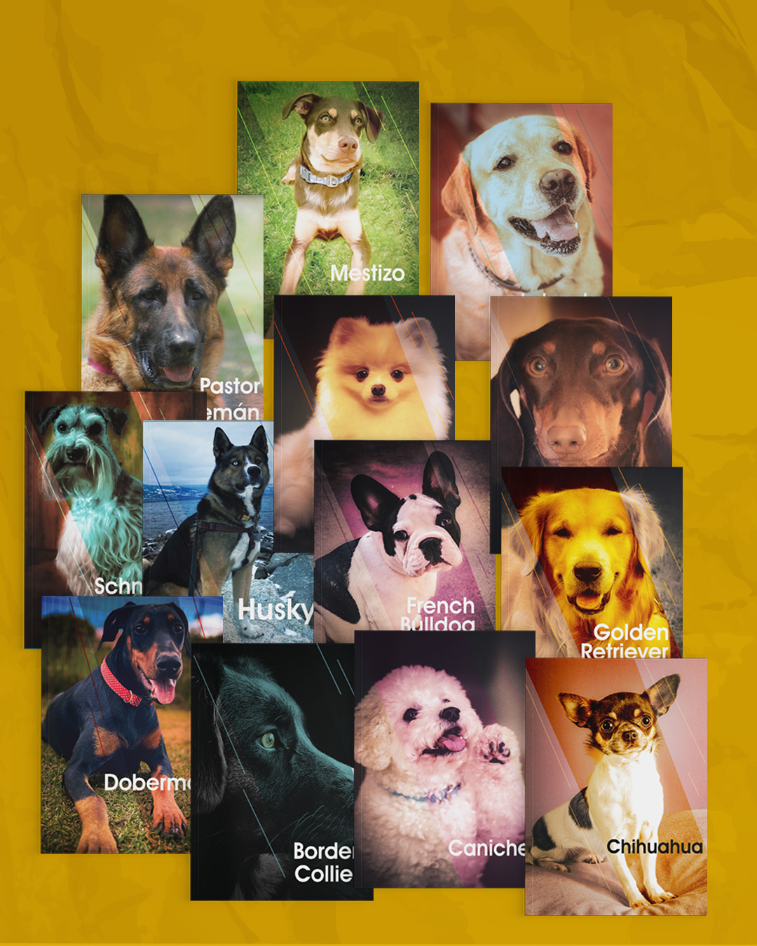 Cuadernos para apuntes temáticos